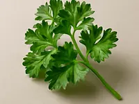 Parsley (for garnish)