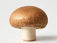 Brown mushroom (portobello)