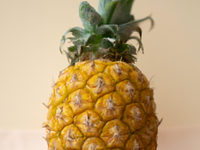 Ananas