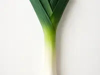 Leek