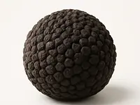 Black truffle