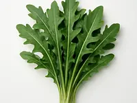 Arugula
