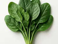 Spinach