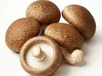 Fresh shiitake