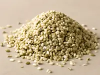 Hemp seeds
