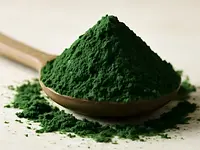 Chlorella (proszek)