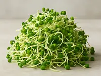 Broccoli sprouts