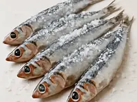 Anchovies