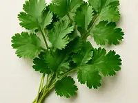 Fresh coriander (leaves)