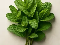 Fresh mint
