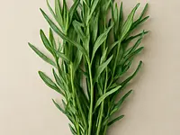 Fresh tarragon
