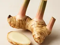 Galangal