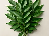 Curry leaves