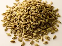 Fennel seeds
