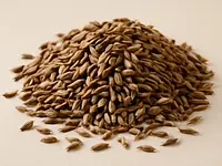 Cumin seeds