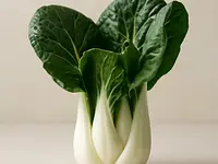 Kapusta pak choi