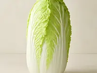 Kapusta napa (pekińska)