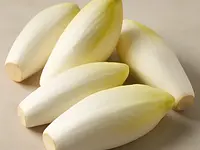 Endive (Belgian chicory)