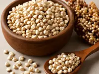 Sorgo (grain sorghum)