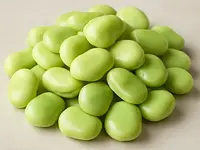 Fresh broad beans