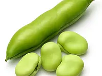 Broad beans