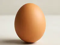 Egg